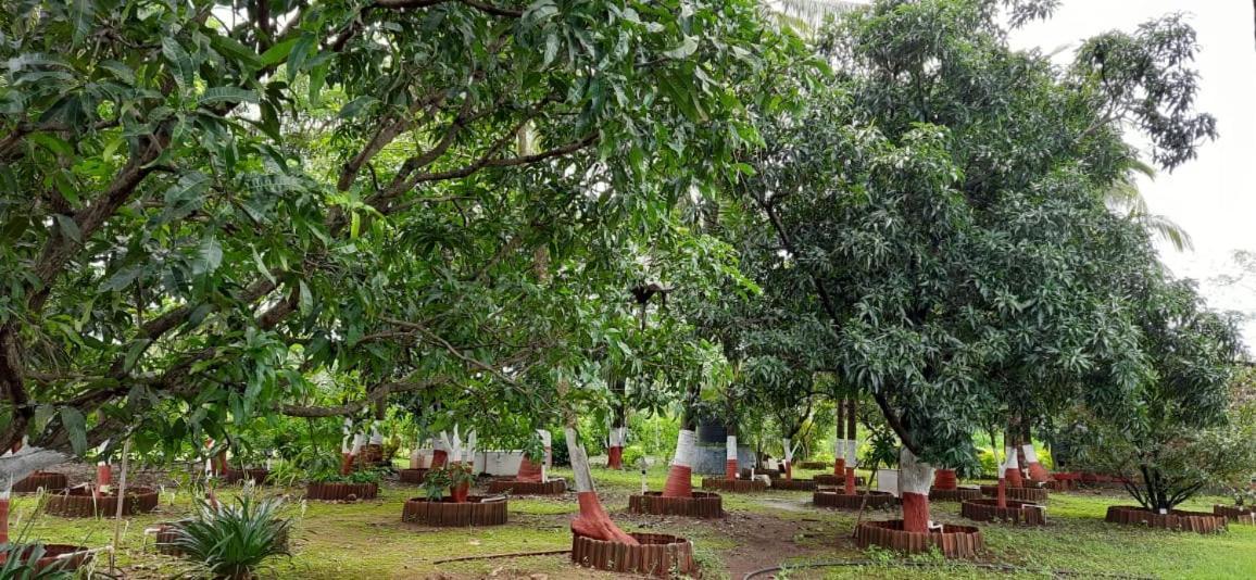 آليباغ Prajakta Rest House المظهر الخارجي الصورة