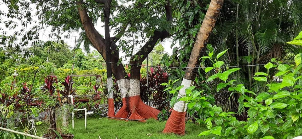 آليباغ Prajakta Rest House المظهر الخارجي الصورة